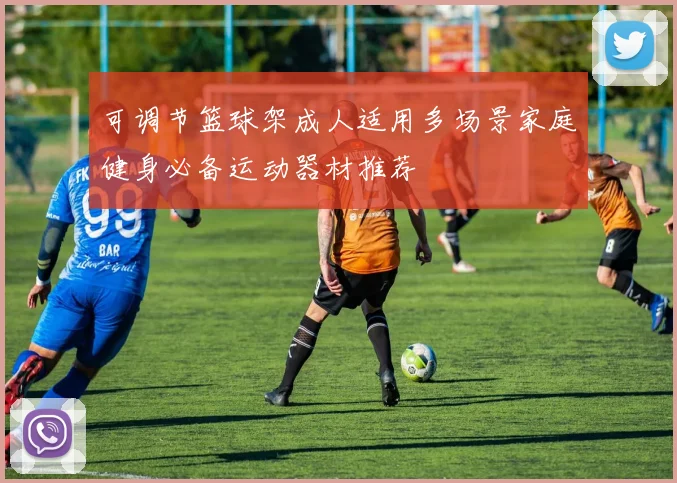 可调节篮球架成人适用多场景家庭健身必备运动器材推荐