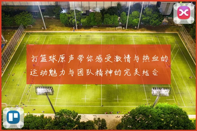 打篮球原声带你感受激情与热血的运动魅力与团队精神的完美结合